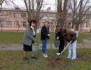 Акция "Дерево жизни"